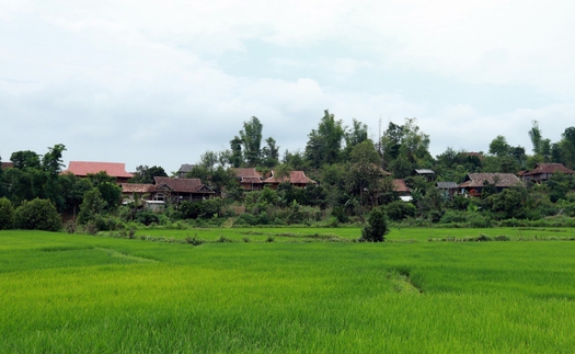 'Hồ Đại tướng' tắm mát ruộng đồng Mường Phăng