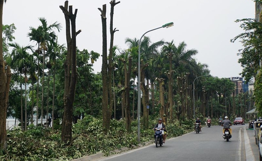 Hà Nội: Trồng hoa sữa ở bãi rác Nam Sơn không có hiệu quả ngăn mùi