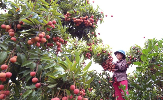 10 sự kiện nổi bật của kinh tế Việt Nam năm 2019