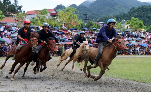 Giải đua ngựa Bắc Hà lễ hội văn hóa đặc sắc vùng Tây Bắc