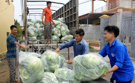 Đến lượt Thái Bình kêu gọi 'giải cứu' nông sản