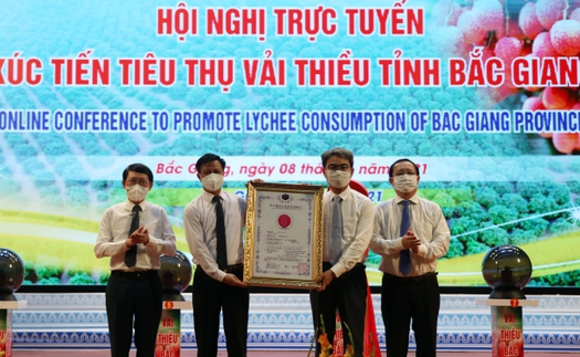 Bắc Giang: Hội nghị trực tuyến tiêu thụ vải thiều với 30 điểm cầu trong nước và quốc tế