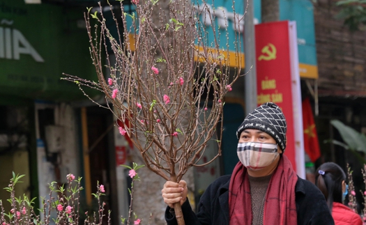 Góc nhìn 365: Cuối năm, ngóng chợ hoa Hàng Lược