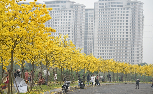 Chào tuần mới: 'Xanh xanh thắm, bầu trời xanh Hà Nội'