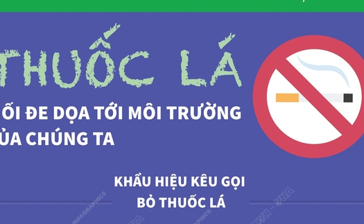 Ngày Thế giới không thuốc lá 31/5: Thuốc lá - Mối đe dọa tới môi trường của chúng ta