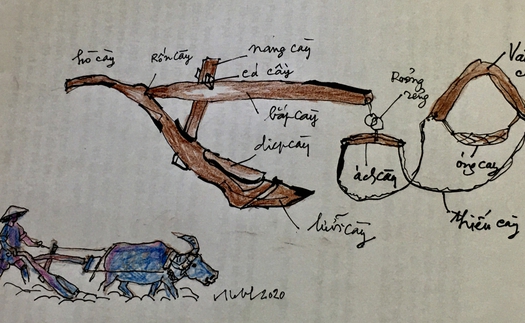 Tản văn cuối tuần: Chuyện cái cày