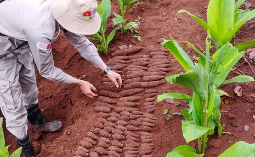 Quảng Trị phát hiện, xử lý thành công hầm chứa 144 vật liệu nổ