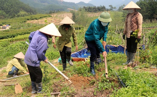 Quảng Ninh không lấn biển, lấn rừng để phát triển công nghiệp