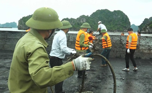 Vụ nuôi trồng thủy sản trái phép trên Vịnh Bái Tử Long: Khai trừ Đảng 4 cán bộ nhận hối lộ