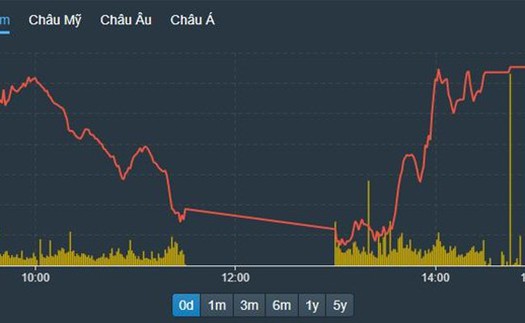 Chứng khoán 17/10: Cổ phiếu dầu khí ngược dòng tăng mạnh