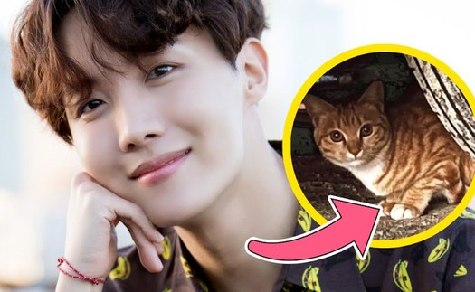 Nếu nuôi mèo, J-Hope BTS sẽ đặt cho cái tên thú vị này