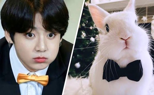 Cười ngất với những ‘meme’ chế theo ‘Thỏ’ Jungkook BTS