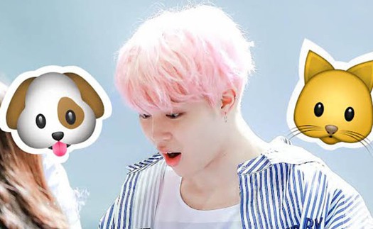 Tại sao Jimin BTS có biệt danh là ‘Puppy Kitty’?