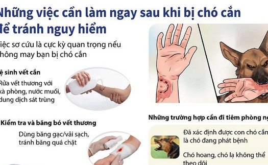 Những việc cần làm sau khi bị chó cắn để tránh nguy hiểm