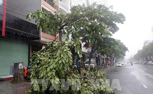 Áp thấp nhiệt đới sắp mạnh lên thành bão, cách bờ biển Khánh Hòa 500km