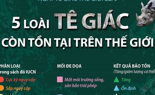 Ngày Tê giác thế giới 22/9: 5 loài tê giác còn tồn tại trên thế giới