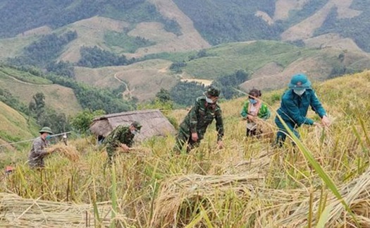 Tiếp nối tinh thần ‘Văn hóa soi đường cho quốc dân đi’