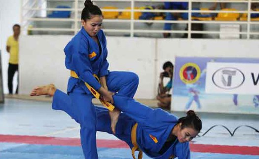 380 VĐV tham dự giải Vovinam vô địch quốc gia 2017