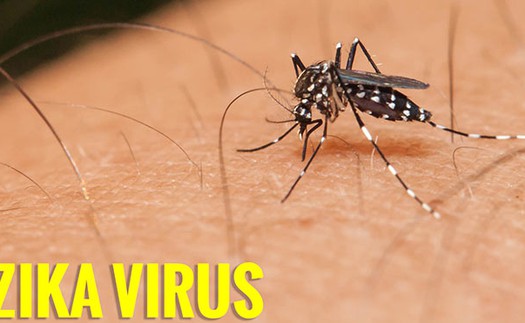 Trung Quốc phát hiện trường hợp nhiễm virus Zika đầu tiên