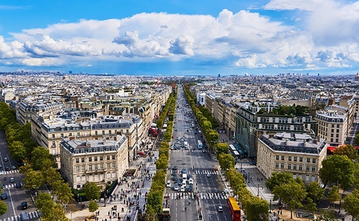 Thủ đô Paris triển khai dự án 'phủ xanh' đại lộ Champs-Elysees nổi tiếng