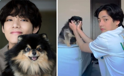 V BTS và Yeontan đốn tim fan với video mới, đứng Top trending toàn cầu