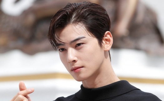 'Rụng tim' với visual của Cha Eun Woo Astro tại sự kiện Dior