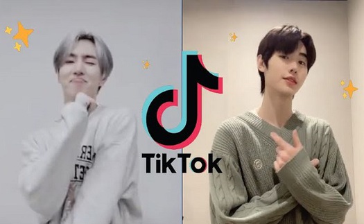 5 lần sao Kpop gây 'bão' trên TikTok với thử thách nhảy