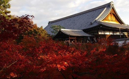 Kinh nghiệm du lịch Nhật Bản tự túc. Khám phá Kyoto 3 ngày như thế nào?