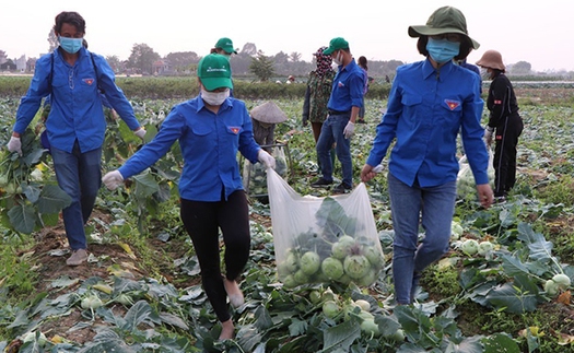 Góc nhìn 365: Điệp khúc 'giải cứu nông sản'