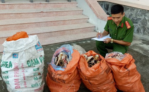 Hưng Yên: Phát hiện 2 xe ô tô chở 6,5 tấn xương động vật thối đi tiêu thụ