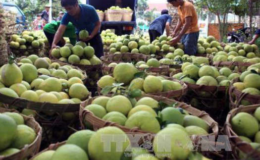 Vụ 'bảo kê' chợ Long Biên (Hà Nội): Sẽ không để chìm xuồng