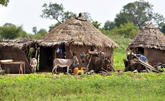 Thợ săn thuộc tộc người Dogon tại Mali sát hại 115 người Fulani