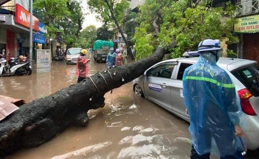 Hà Nội: Mưa lớn gây ngập, cây đổ đè bẹp ô tô