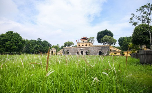 'Không gian xanh' trong lòng di sản Hoàng Thành Thăng Long