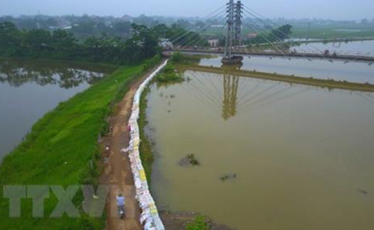 Hà Nội: Mực nước Sông Bùi, sông Tích vẫn trên mức báo động III