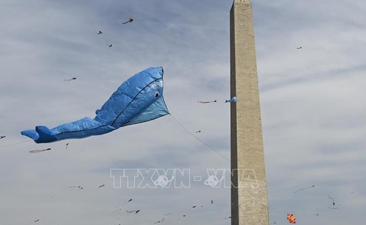 Ấn tượng Lễ hội thả diều mùa hoa anh đào tại Washington D.C