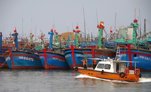 Các tỉnh, thành phố từ Quảng Bình đến Kiên Giang chủ động ứng phó với bão Rai