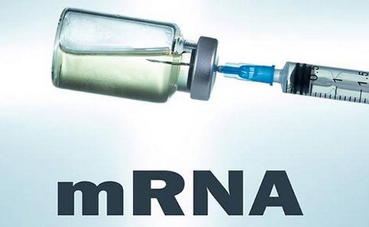 Mỹ phê duyệt tiêm vaccine mRNA ngừa Covid-19 cho trẻ 6 tháng đến 5 tuổi