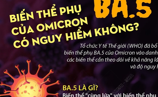 Biến thể phụ BA.5 khiến nhiều nước tăng số ca Covid-19; Việt Nam theo dõi chặt, thúc đẩy tiêm vaccine