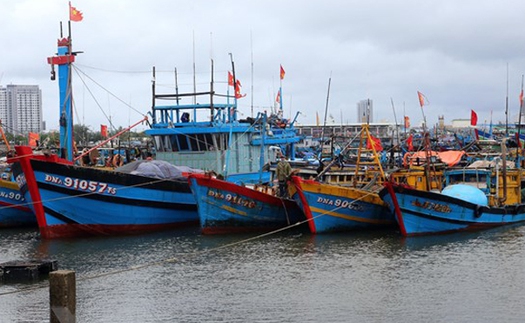 Ứng phó với bão số 1: Quảng Ngãi kêu gọi tàu, thuyền khẩn trương di chuyển ra khỏi vùng nguy hiểm