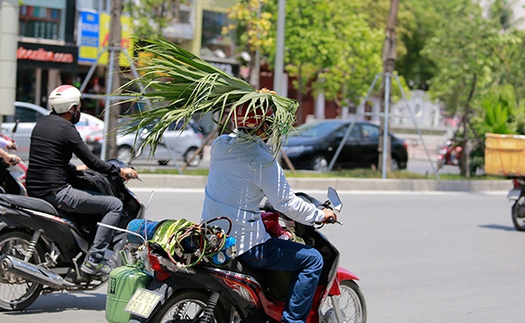 Người dân Hà Nội kháng cự với cái nắng kỷ lục bằng 'lá chắn di động'