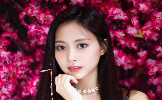 ONCE 'dậy sóng' vì Tzuyu Twice bị đối xử bất công dù nổi nhất nhì nhóm