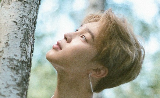 Jimin BTS bất bại về giá trị thương hiệu cá nhân, vượt xa Kang Daniel