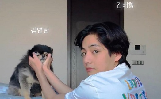 Nhờ chú cún Yeontan, V BTS lọt top được thích nhất Instagram mọi thời đại