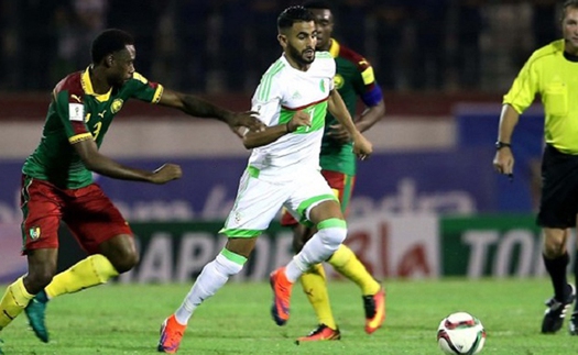 Soi kèo nhà cái Cameroon vs Algeria. Nhận định, dự đoán bóng đá vòng loại World Cup (00h00, 26/3)