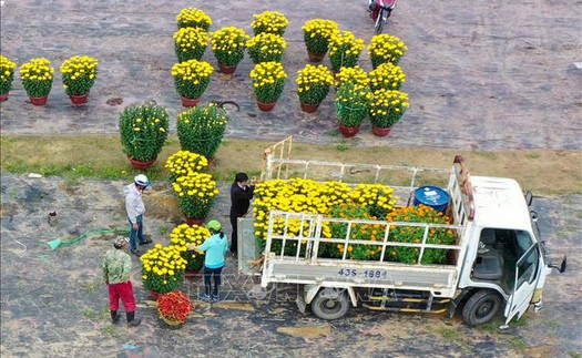 Hoa, cây cảnh hạ giá nhưng sức mua vẫn giảm