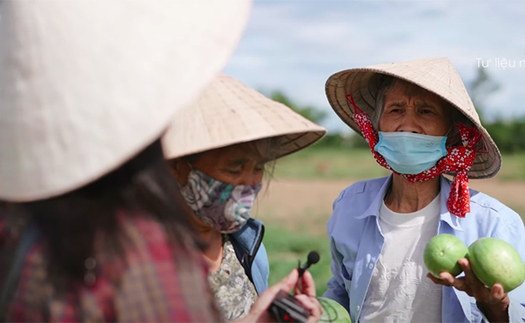 MV ‘Gửi vô Nam’ của Ánh Tuyết: Bà con nghèo góp nhặt từng bó rau, vài chục nghìn đồng