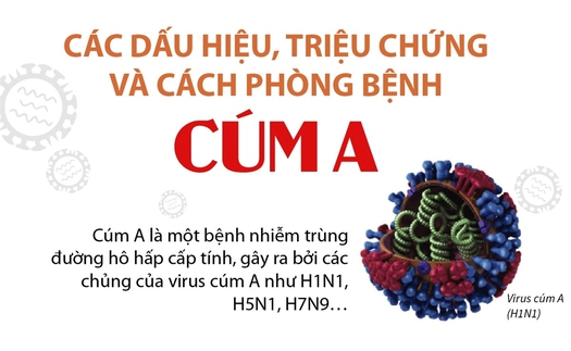 Các dấu hiệu, triệu chứng và cách phòng bệnh cúm A