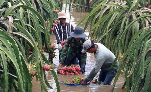 Dự báo thời tiết và lượng mưa TP HCM 3 ngày tới