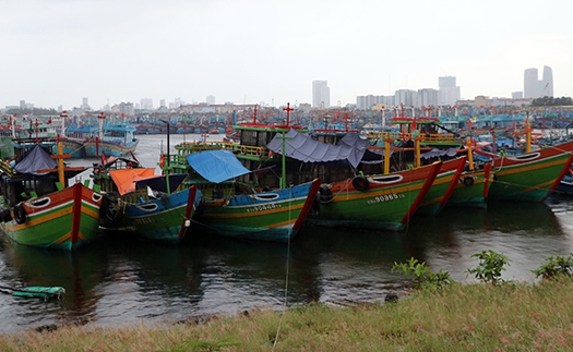 Tin bão mới nhất, cơn bão số 5